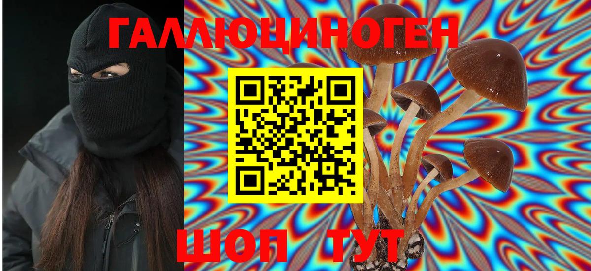 Кувандык  Псилоцибиновые грибы MAGIC MUSHROOMS  Псилоцибиновые грибы мухоморы  Вход с VPN 