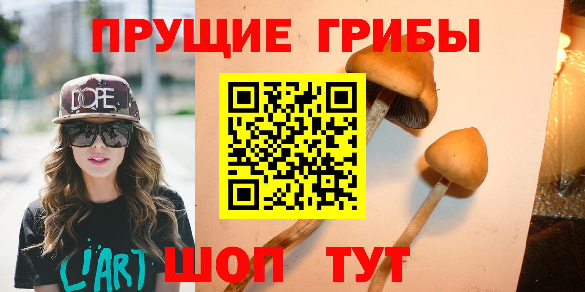 Галлюциногенные грибы Cubensis Кувандык